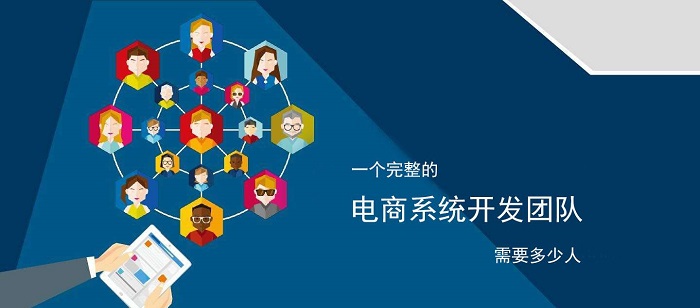 电商网站开发