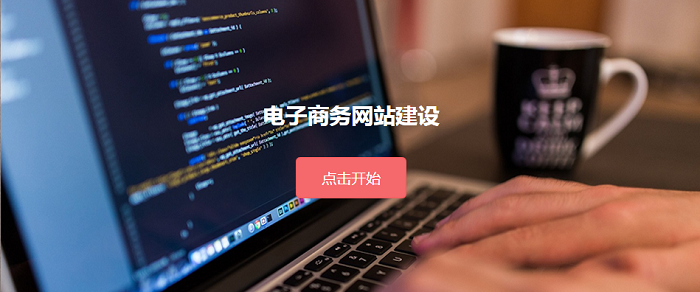 电商网站开发 电商网站开发