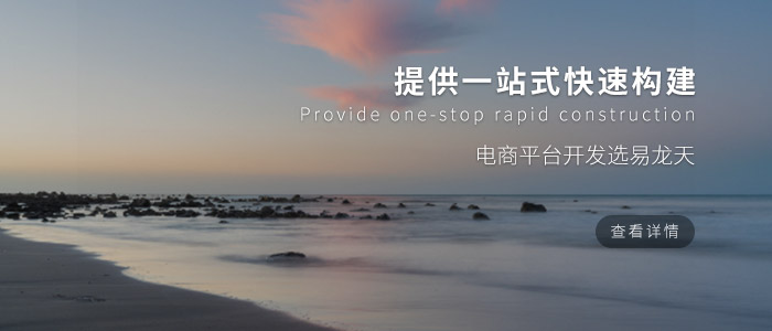 电商开发易龙天