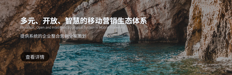 整合营销提升品牌价值 整合营销提升品牌价值